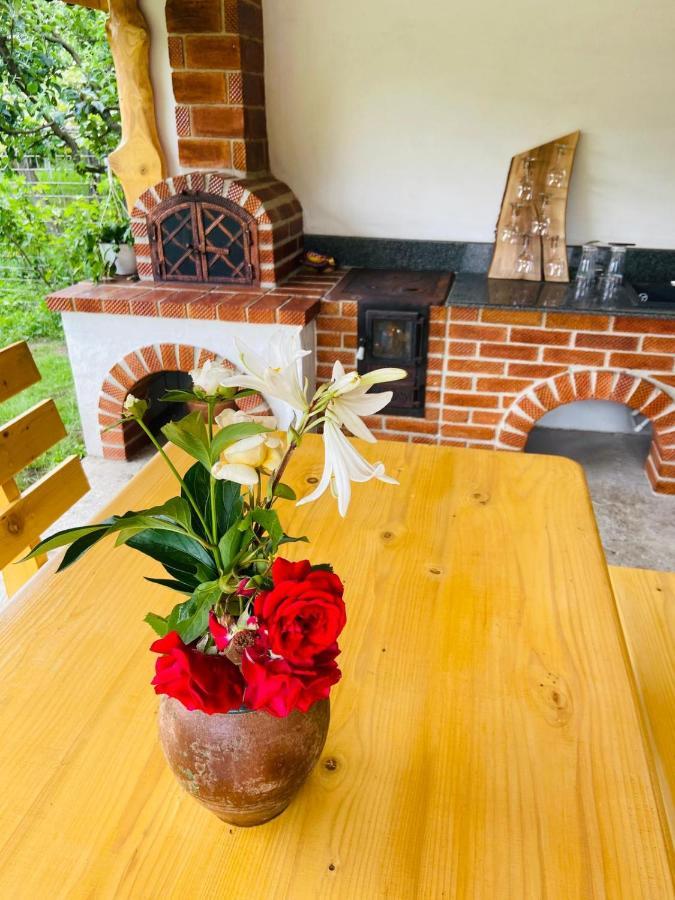 Casa De Vacanta Motata Новач-Стрэйни Экстерьер фото